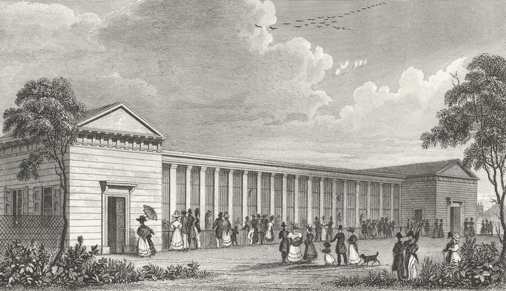 PARIS. Menagerie Jardin Plantes. dog 1834 old antique vintage print picture